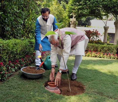 On Environment Day Pm Narendra Modi Asks People To Plant Trees India