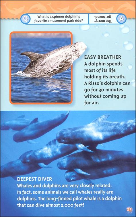 Dolphins National Geographic Reader Level 2 National Geographic
