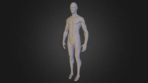 Male Body D Model By Phi O I O C D Cf Sketchfab