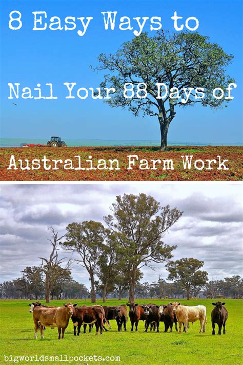 8 Ways To Ensure Your Farm Work Australia Experience Isnt A Nightmare