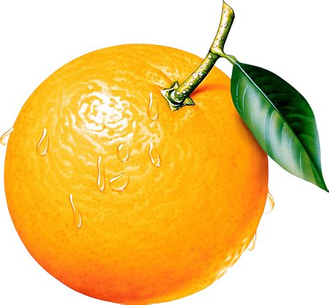 On freepngimg.com you can download free png images, pictures, icons in different sizes. Library of fruit house graphic freeuse library png files ...