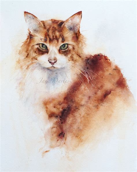 Pet Portrait Of A Ginger Cat Painted By Watercolour Artist Jane Davies