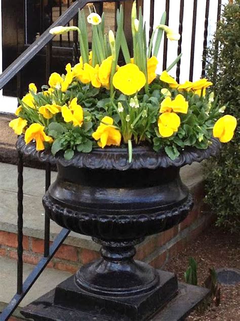 Stunning Spring Pots And Urns Omg Lifestyle Blog