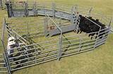 Cattle Working Facilities For Sale