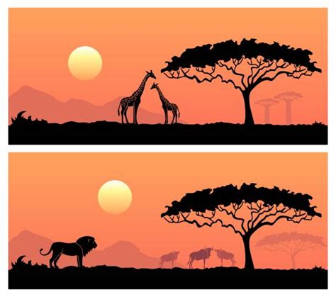 Tranquil Sunset Scene In Africa Illustrations Royalty Free Vector Graphics And Clip Art Istock