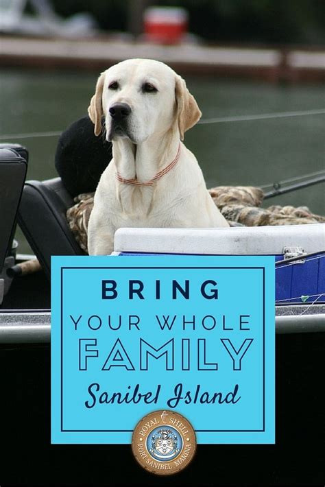 Maybe you would like to learn more about one of these? Sanibel Island: A Pet-friendly Paradise | Pet-Friendly ...