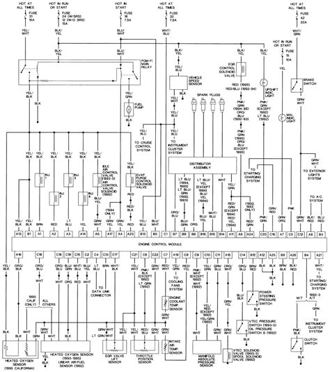 This wiring diagram applies to the following vehicles (with and without vtec): 1995 Honda Accord Wiring Harness | schematic and wiring diagram