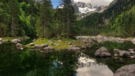 Mountains Pine Trees Rocks Water Phone Wallpapers