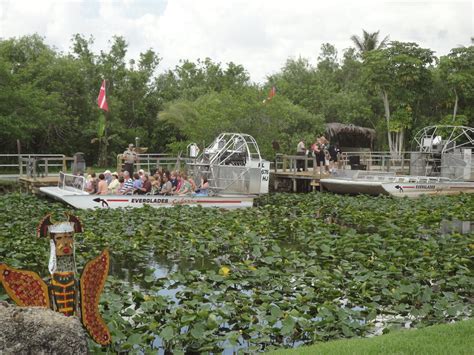 Everglades National Park Miami Consejos Antes De Viajar Fotos Y