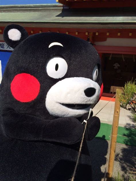くまモン 公式 55kumamon Kumamon Mascot Instagram Posts