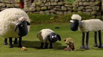 Timmy time full episdoes время барашка тимми мультик все серии подряд. Shaun the Sheep (UK) 1x04 Timmy in a Tizzy - ShareTV
