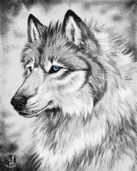 Pencil Drawings Of Animals Animal Sketches Art Sketches Wolf