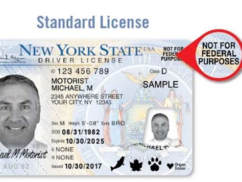 Id Document Number Drivers License Free Documents