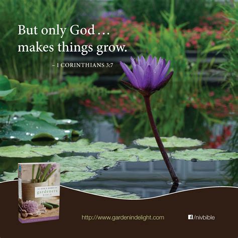 What Gardens Are Mentioned In The Bible Beautiful Flower Arrangements