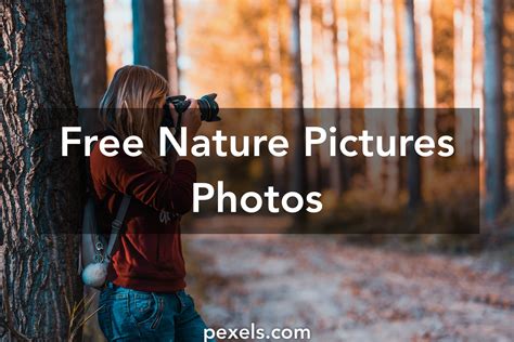 1000 Engaging Nature Pictures Photos · Pexels · Free Stock Photos