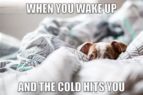 When The Cold Hits You Cold Cold Front Winter Hacks