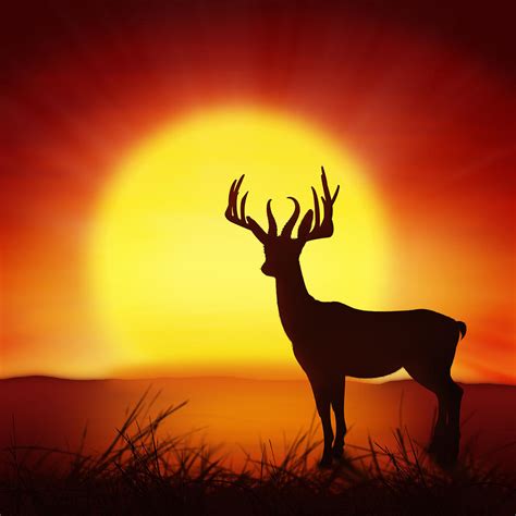 Silhouette Of Deer With Big Sun Photograph By Setsiri Silapasuwanchai