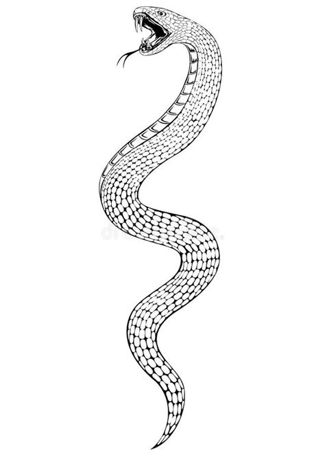 Snake Stock Illustrations 105180 Snake Stock Illustrations Vectors