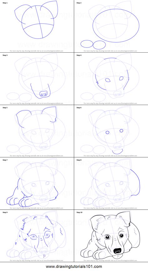 How To Draw German Shepherd Puppy Printable Step By Step Drawing Sheet