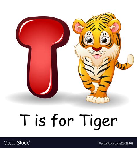Animals Alphabet T Is For Tiger Royalty Free Vector Image