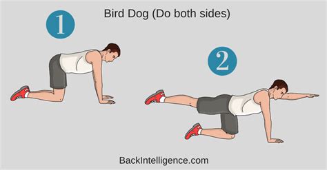6 Exercises To Strengthen Lower Back And Core Muscles