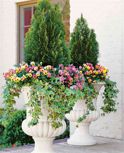 30 Shade Loving Container Garden Ideas Southern Living