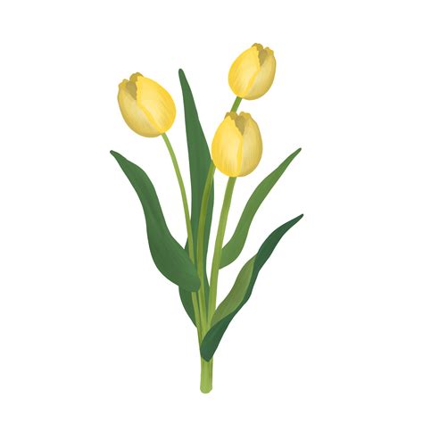 Introduzir 75 Imagem Tulipa Amarela Png Vn