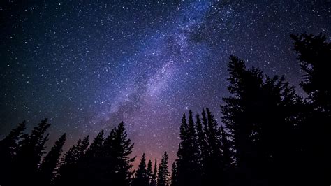 Fotos Gratis Bosque Cielo Noche Estrella V A L Ctea Atm Sfera