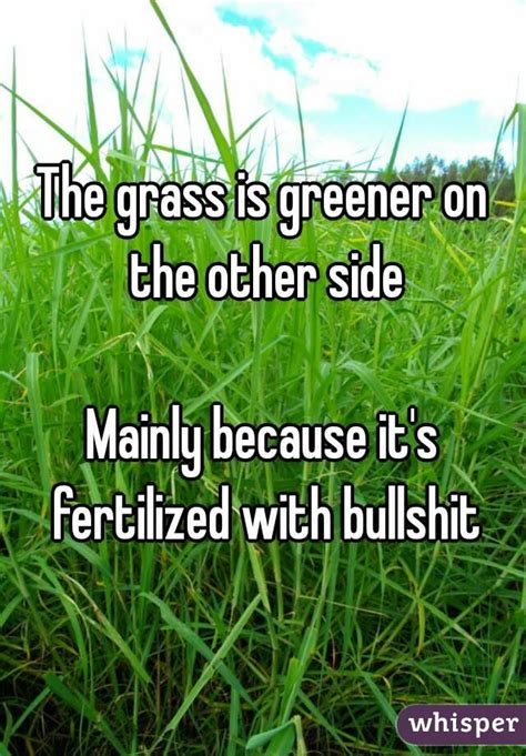 The Grass Is Greener On The Other Side Mainly Because Its Fertilized
