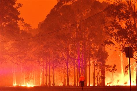 Australian Bushfires What Should You Do If You Have A Trip Booked