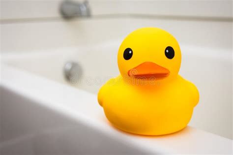 Yellow Rubber Duck Bath Toy Stock Photo Image Of Bathroom Home