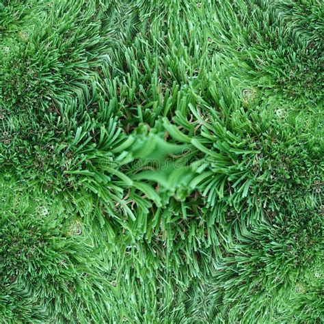 Artificial Grass Closeup Abstracts Backgrounds Stock Image Image Of