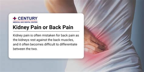 How To Tell If Its Kidney Pain Or Back Pain Century Medical And Dental