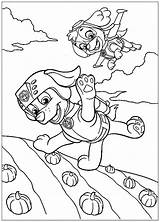 Patrol Paw Coloring Zuma Skye Printable Characters Halloween Kolorowanki Psi Para Wydruku Canina Malowanki Colorear Kit Patrulla Pintar Dibujos Rocky sketch template