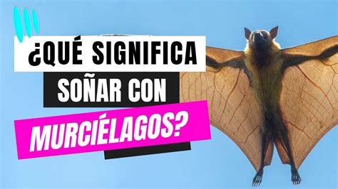 ¿qué Significa Soñar Con Murciélagos Youtube