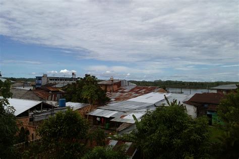 Omagua Amazon Experience Bewertungen And Fotos Nauta Peru Tripadvisor