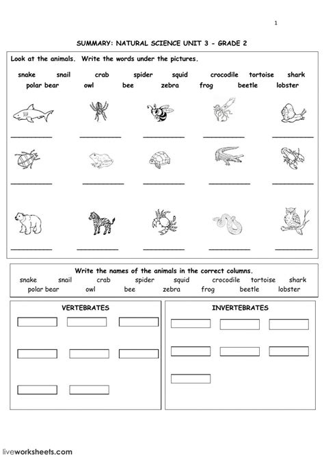The Animal Kingdom - review worksheet