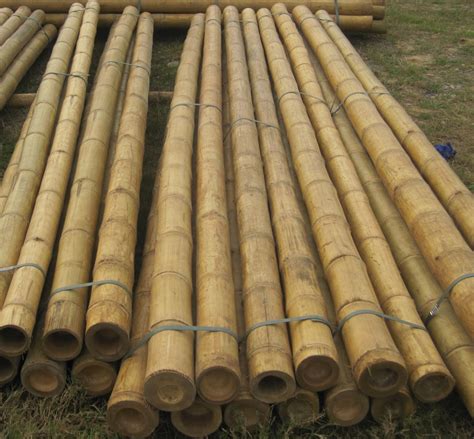 Quality Bamboo And Asian Thatch 2 India 5 India12ftlpole