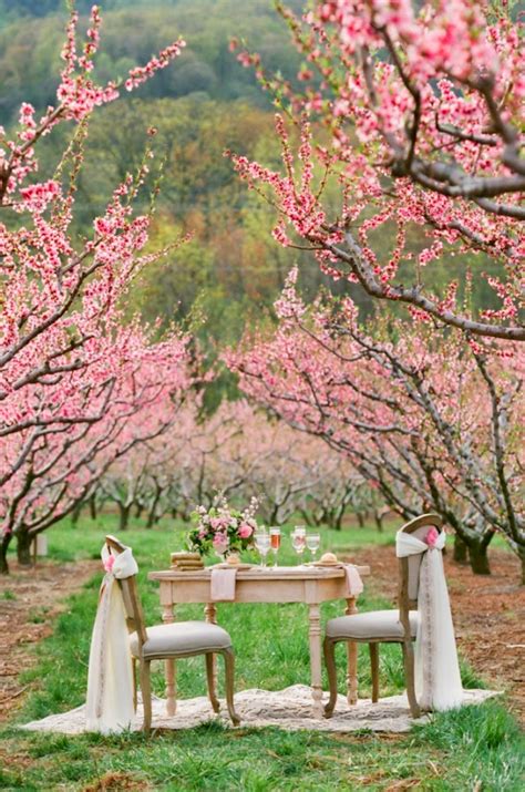 A Wedding Theme Less Ordinary Cherry Blossom Wedding
