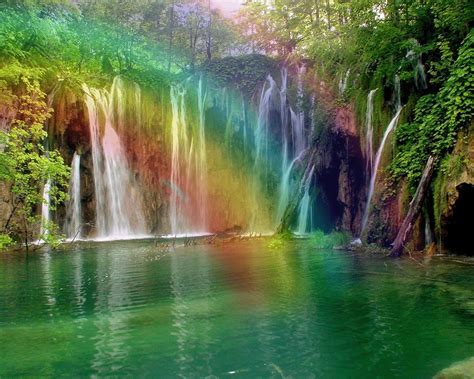 Rainbow Rainforest Wallpapers Wallpaper Cave