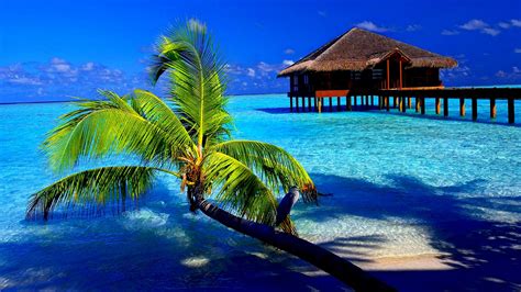 47 Beautiful Tropical Islands Desktop Wallpaper On