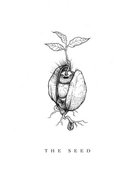 Print Of Original Drawing The Seed Etsy