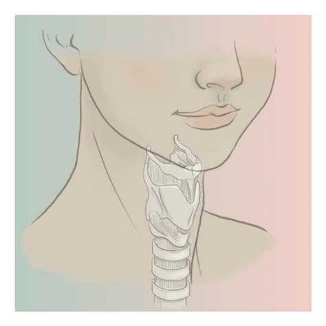 tracheal shave or adam s apple reduction