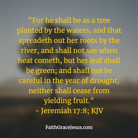 Gods Promise Of Fruitfulness For You Jeremiah 178 Faith Grace