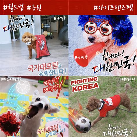 Rate this torrent + | 아이프렌즈펫 월드컵 응원 사진들