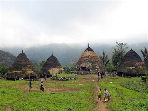 18 Gambar Rumah Adat Ntt Dan Penjelasannya Terbagus Top Gambar Rumah 24