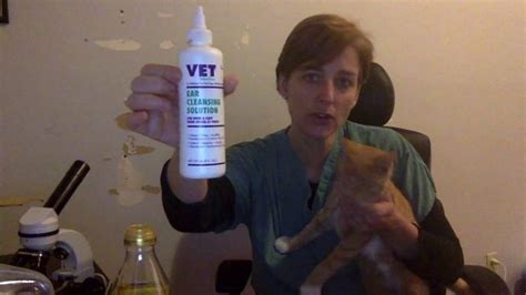 Cat Mites Home Remedies Youtube Cat Ear Mites Natural Antibiotics