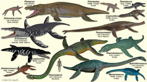 Prehistoric Sea Creatures List