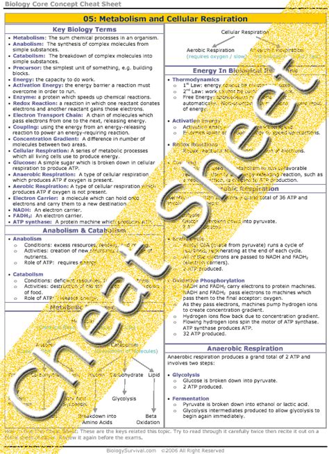Pearson Education Chemistry Worksheet Answers - Ivuyteq