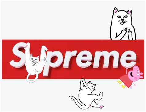 ギフトプレゼントご褒美 Supreme Cat In The Hat Sticker Kids